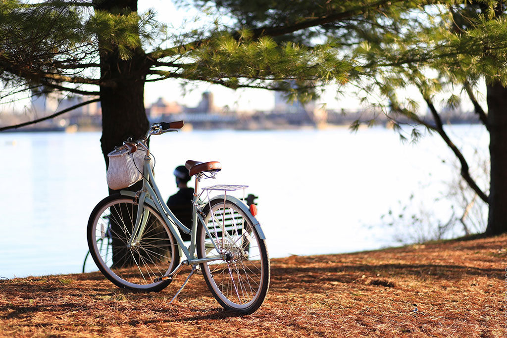 Bicycle on the Lake